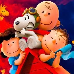 Meet your Posher, Miguel